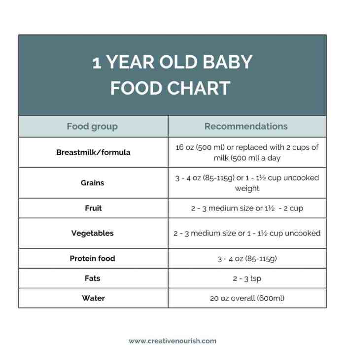 Toddler meals diet lunches snacks daycare chapters picky dinners