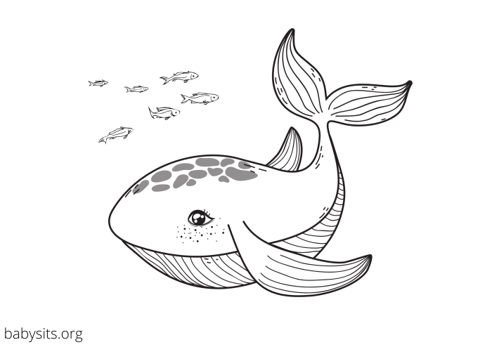 Under the sea animals coloring pages