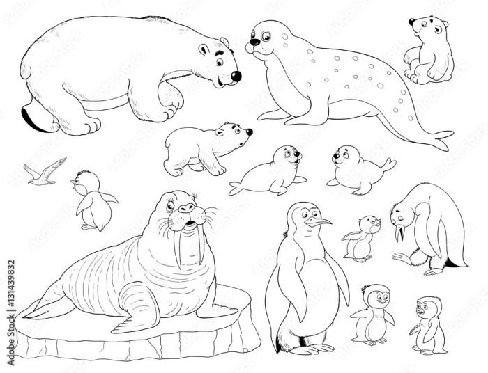 Coloring pages arctic animals