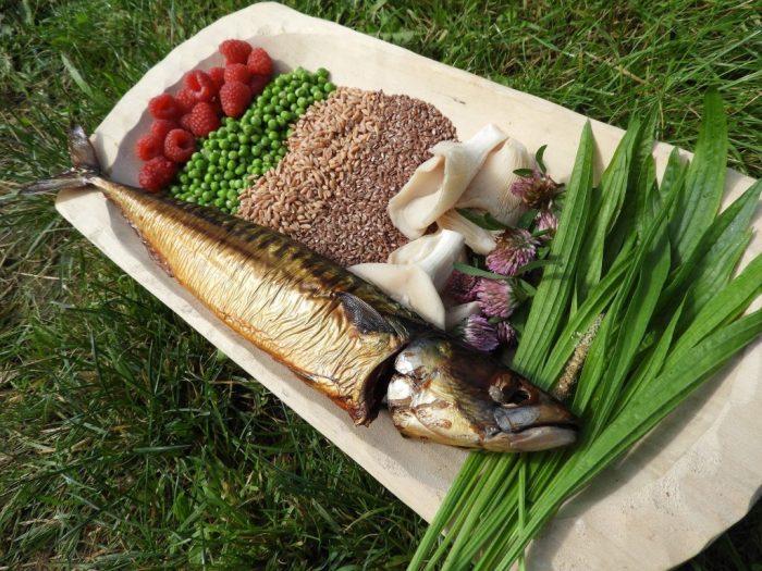 Steinzeit ernährung für kinder