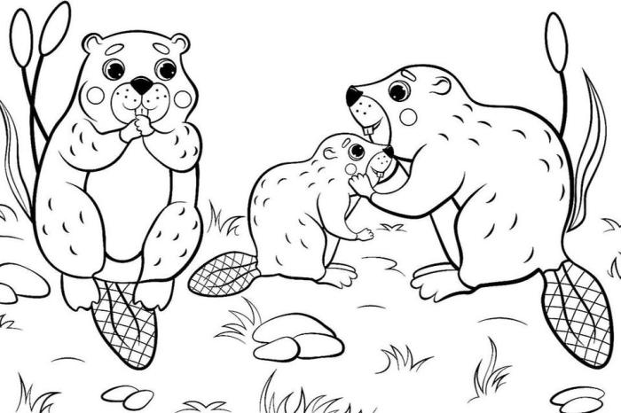 Free printable coloring pages animals