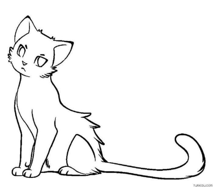 Anime cats coloring pages