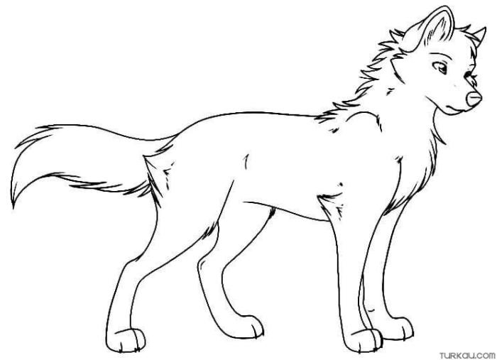 Wolf cute anime coloring pages