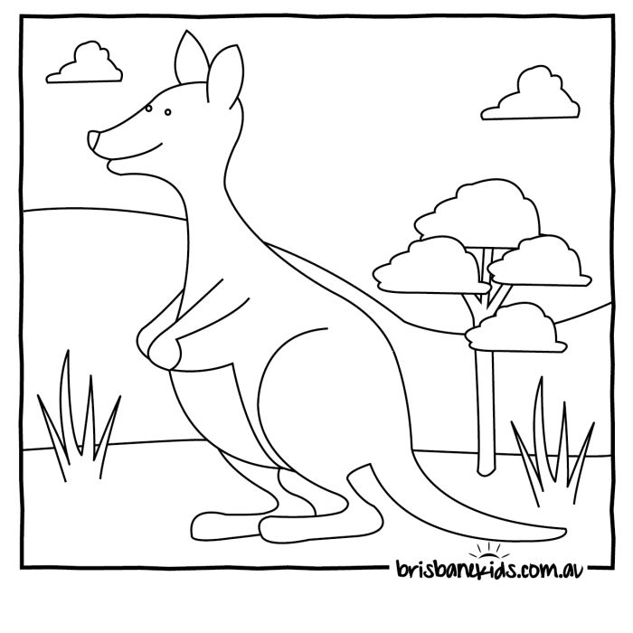 Coloring pages of animals