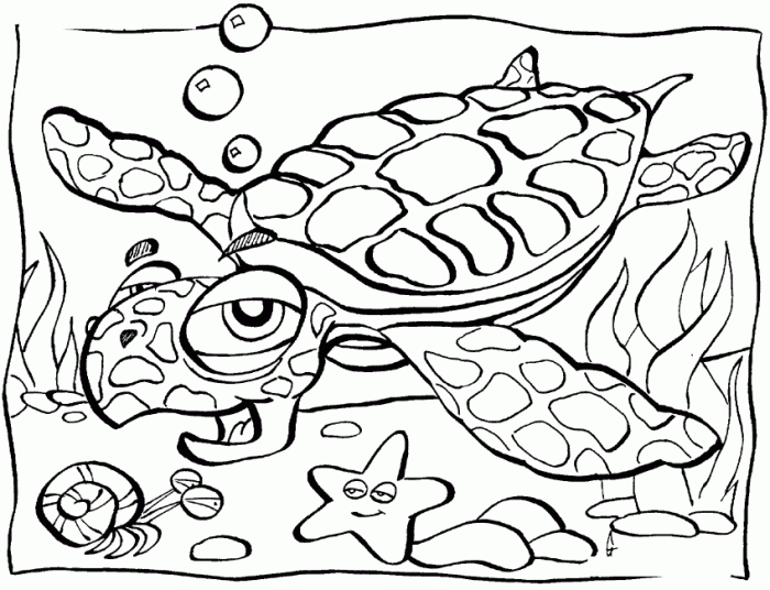 Coloring pages of ocean animals