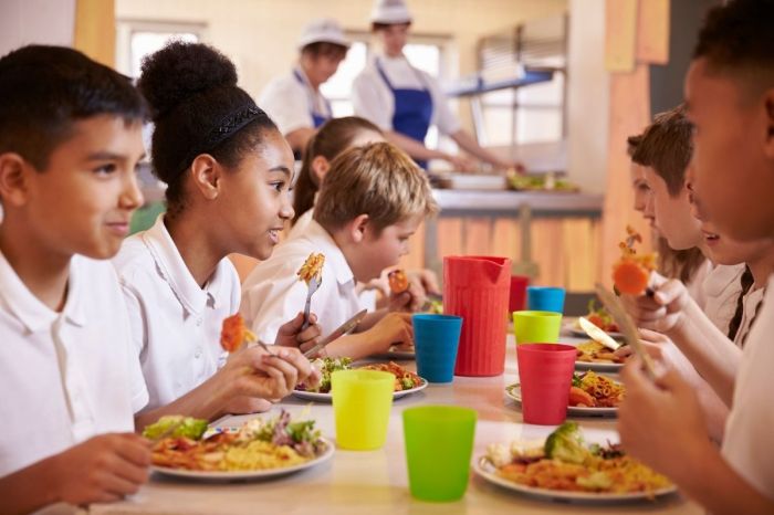 Was ist gesunde ernährung kinder schule