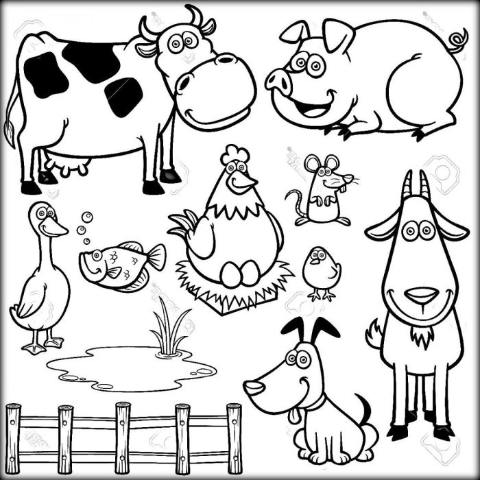 Animal coloring book pdf