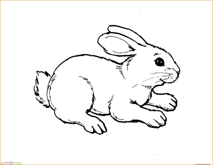 Free animal printable coloring pages