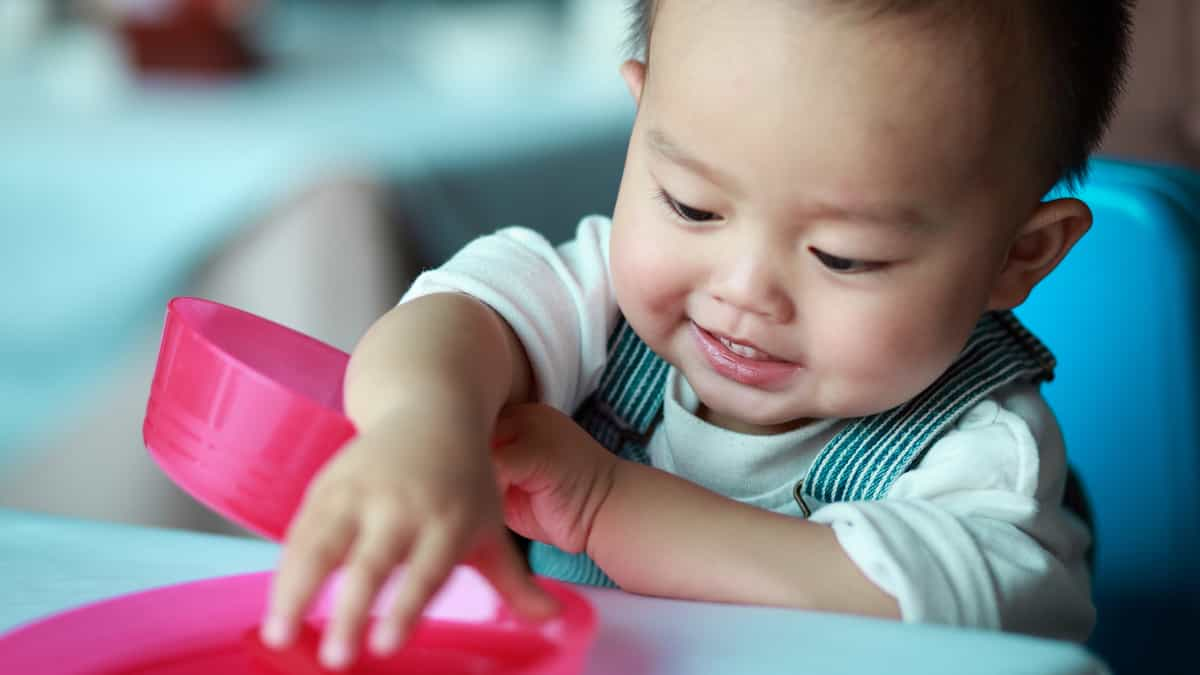 Ernährung kinder ab jahr broschüre