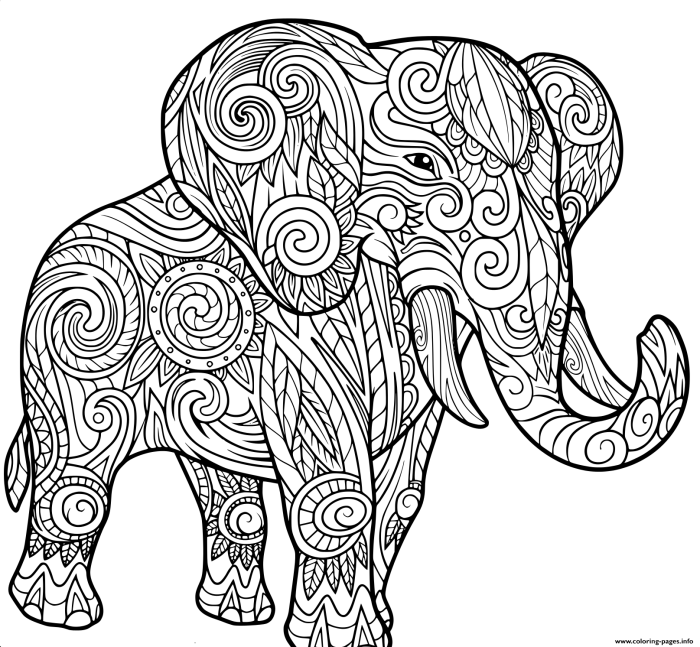 Animal printable coloring pages