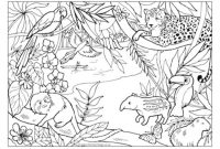 Rainforest animals coloring page