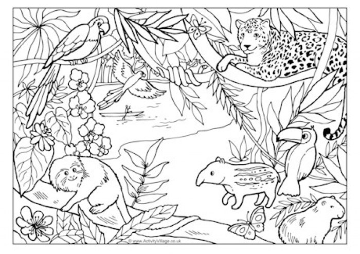 Rainforest animals coloring page