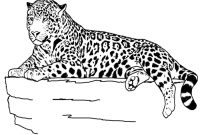 Printable coloring pages of animals