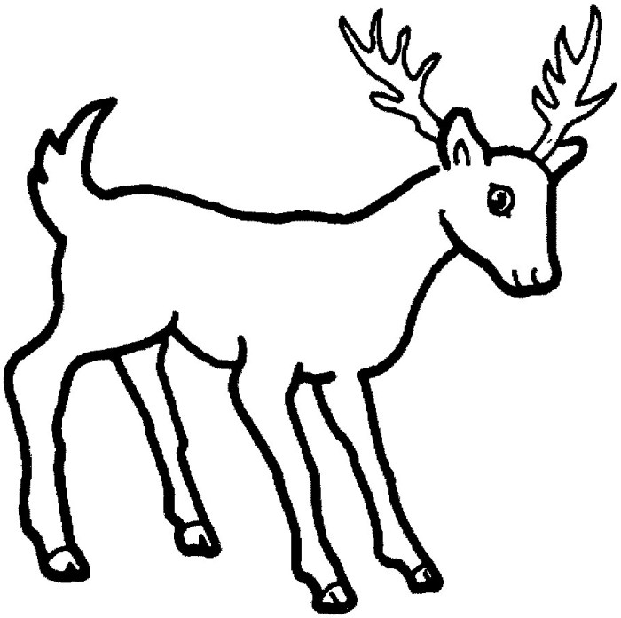 Animal coloring page deer