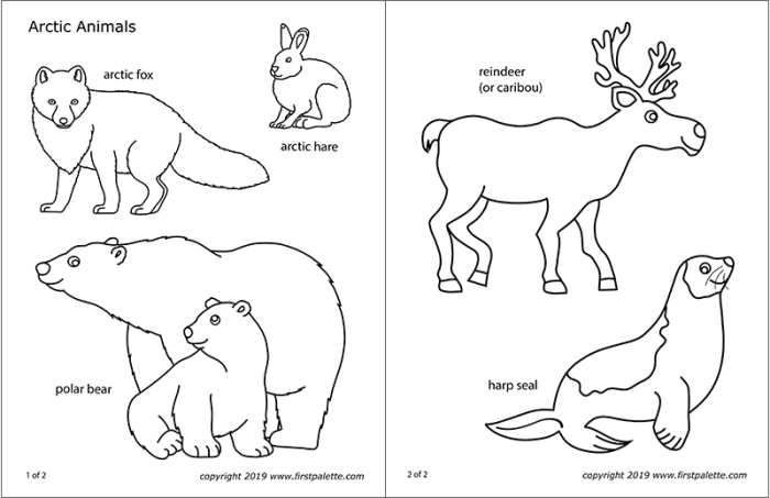 Coloring pages arctic animals