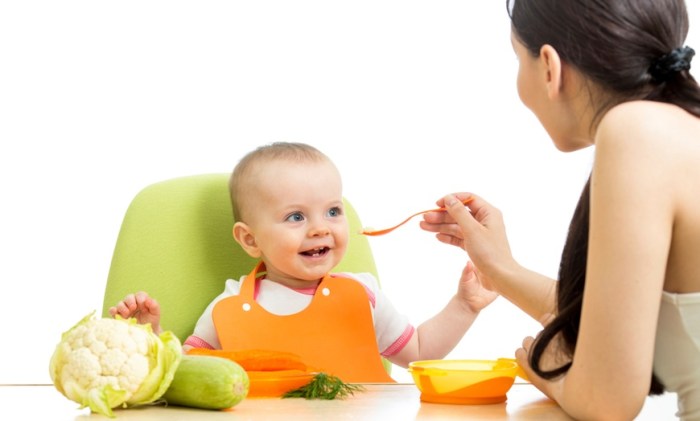 Fachberater ernährung kinder fernakademie