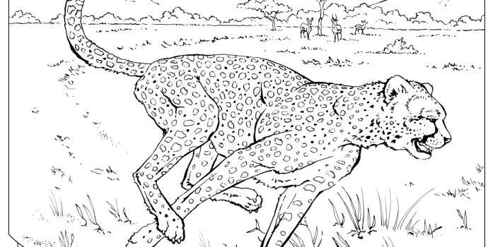 Wild animal coloring pages