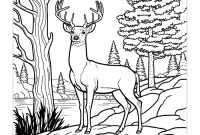 Animal coloring page deer