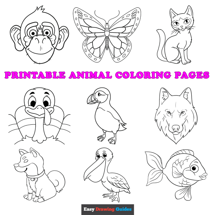 Animal printable coloring pages