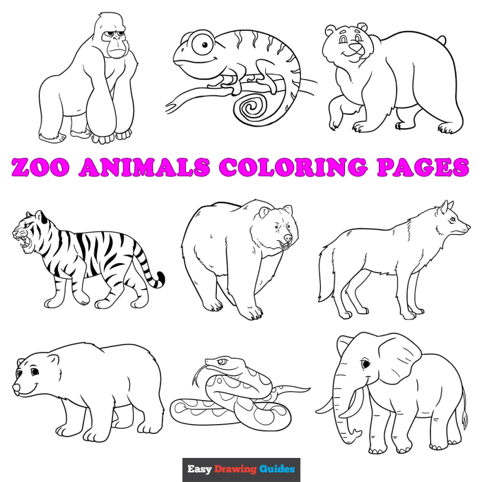 Easy zoo animals coloring pages