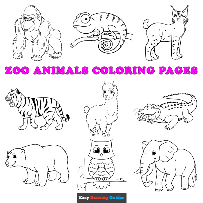 Animal coloring sheets printable