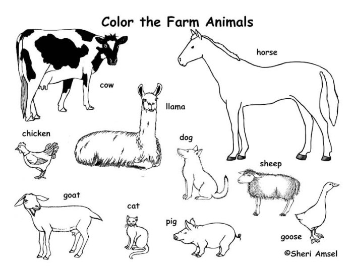 Realistic farm animal coloring pages