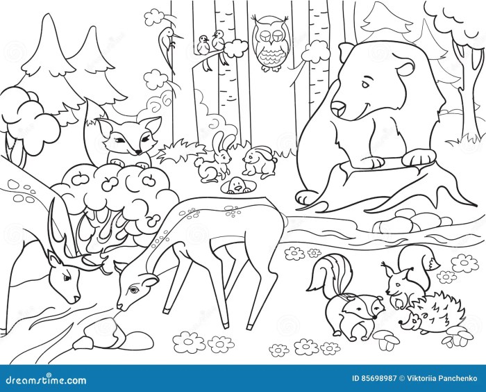 Forest coloring pages with animals