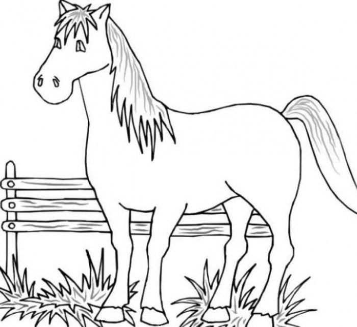 Free printable coloring pages farm animals