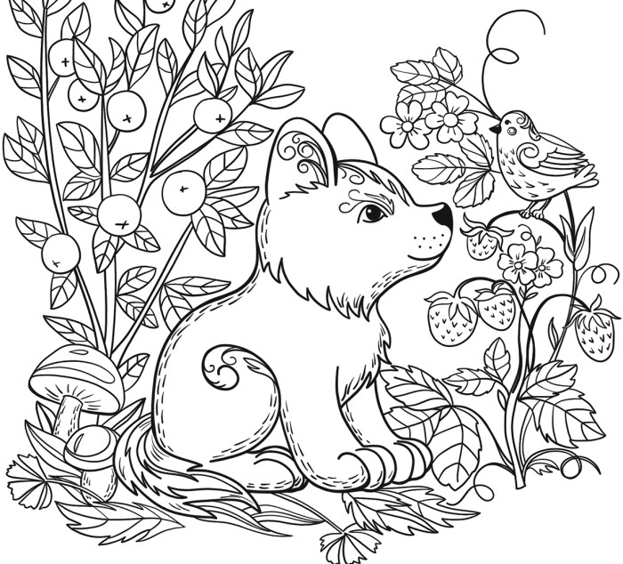 Wild animal coloring pages