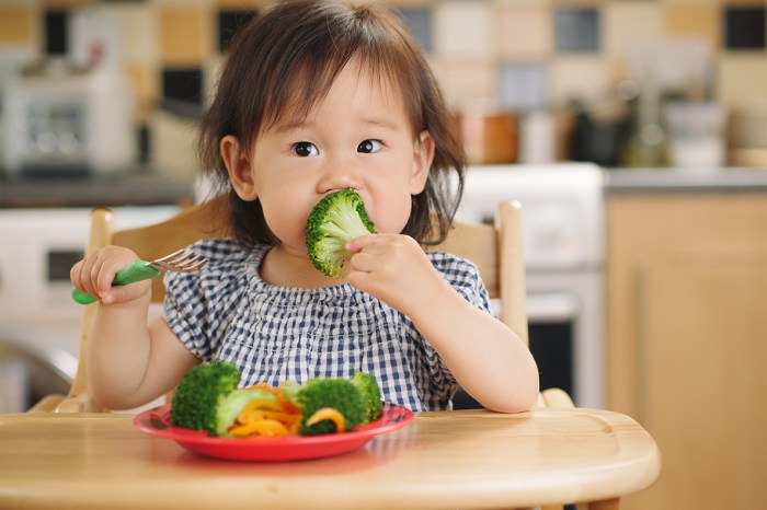 Gesunde ernährung kinder kurse