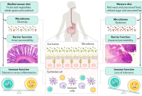 Ernährung kinder colitis ulcerosa