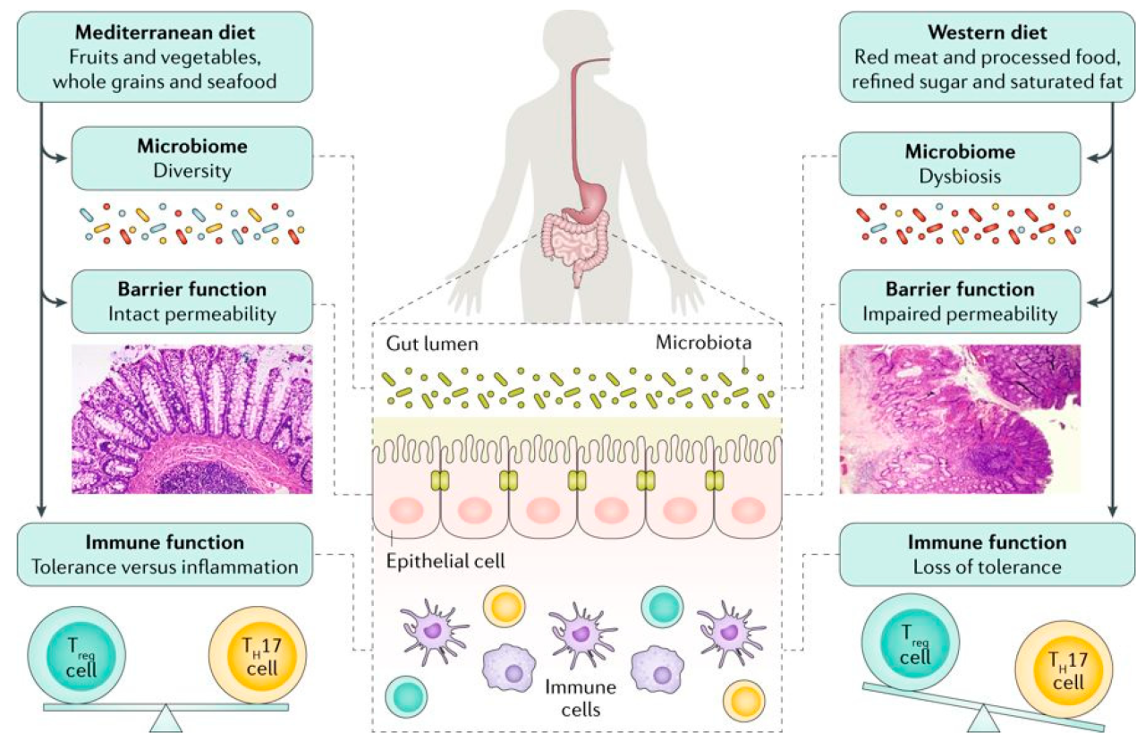 Ernährung kinder colitis ulcerosa