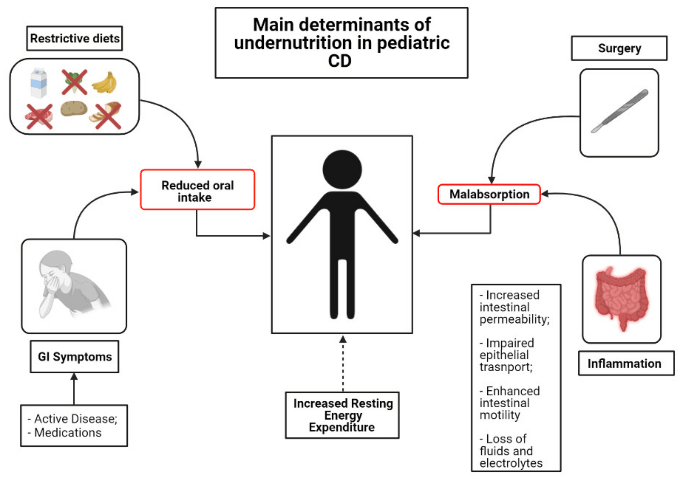 Morbus crohn kinder ernährung