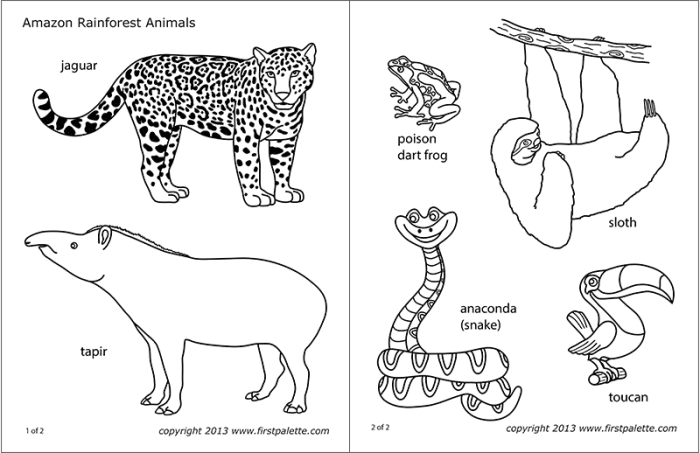 Coloring pages forest animals