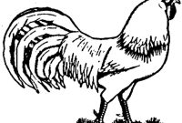 Realistic animal coloring sheets