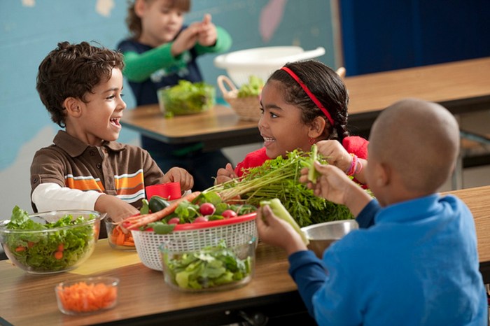 Vegane ernährung kinder weiterbildung